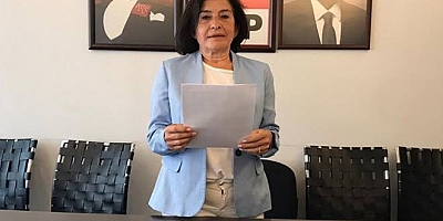CHP Kadın Kolları Başkanı Nurten Serhadbeyi Hayatını Kaybetti