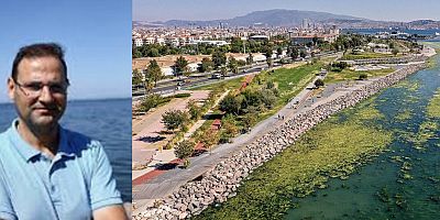 İzmir Körfezi'nde deniz yosunları yayılmaya başladı!