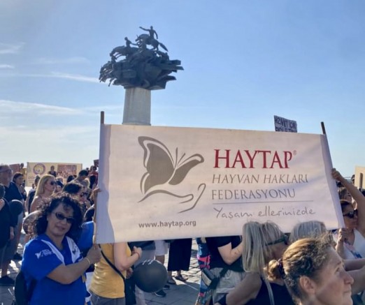 Hayvan Hakları Savunucuları İzmir Gündoğdu Meydanı’daydı