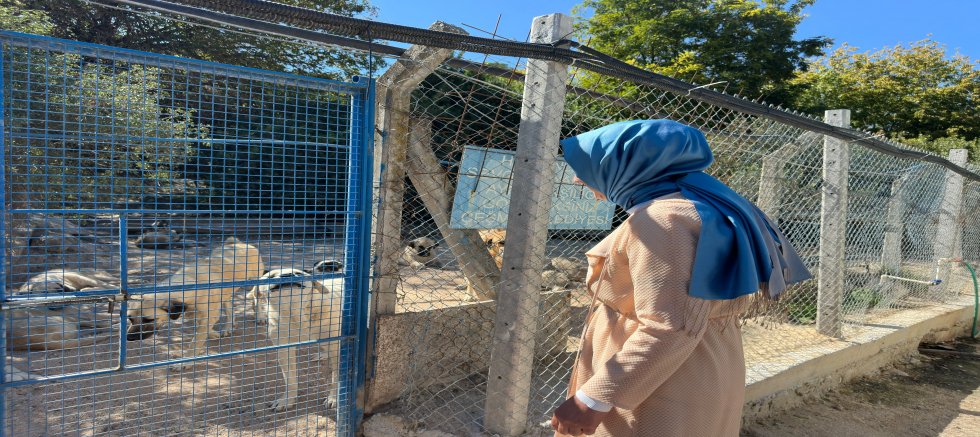 AK Parti Çeşme’den Belediyeye “Can Dostlar” Sorusu