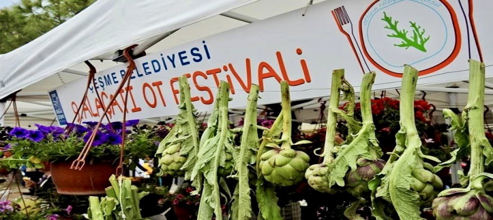 Alaçatı Ot Festivali’nde Sürdürülebilir Tarım yarışmasında final heyecanı