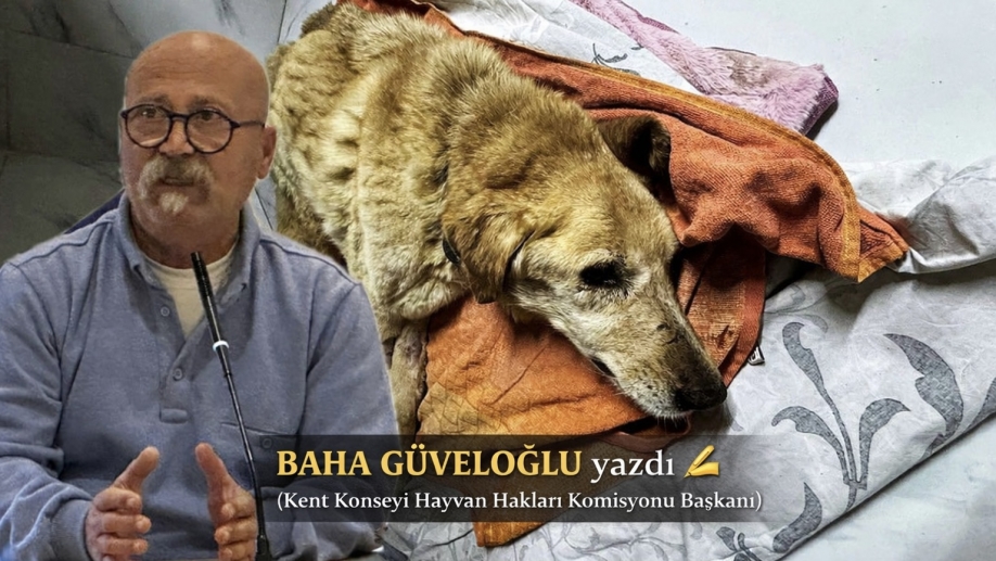 BAL OĞLUMUZ… ÇOK ÜZGÜNÜZ, SENİ BU CANİLERDEN KORUYAMADIK
