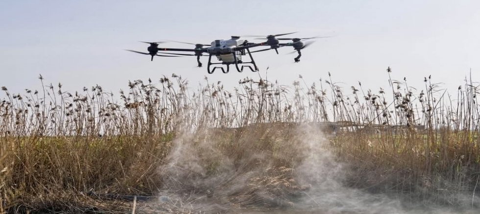 İzmir’de vektörle mücadelede dronlu dönem