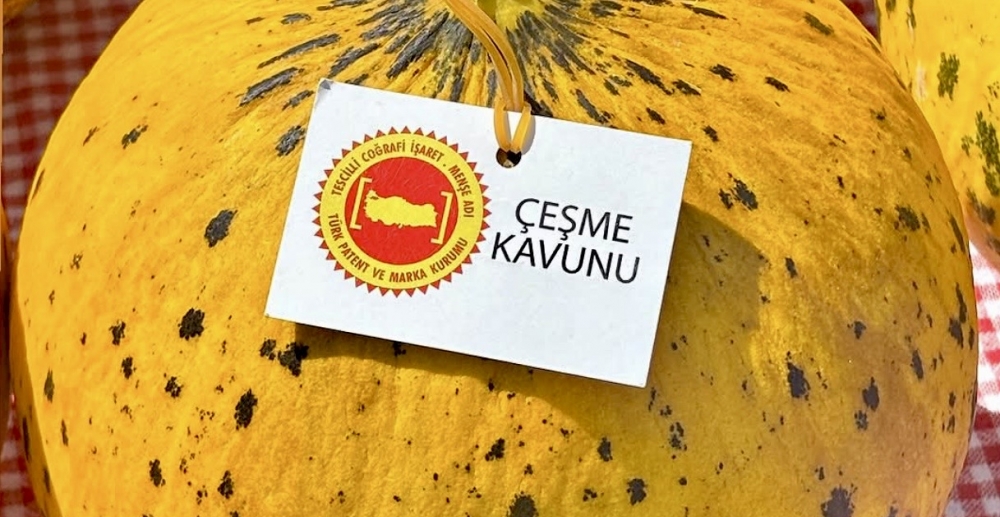 Ovacık Şenliği’nde yerel lezzetler tanıtıldı, en iyi Çeşme kavunu seçildi