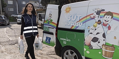 30 İlçe 622 Mahallede Süt Kuzusu Dağıtımları Başladı