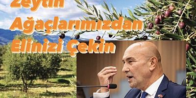 9 Kez Meclise Gelen Zeytinin ölüm fermanına Soyer'den Tepki!