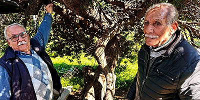 Alaçatı’da Sakızın 70 Yıllık Geçmişi Anlatıldı