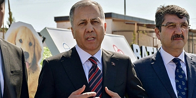 Ali Yerlikaya; “Sokak Hayvanlarıyla İlgili 81 İle Müfettiş Gönderildi”