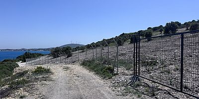 Altınyunus Kalemburnu’nda Sit Alarmı: Koruma Altındaki Ağaçlar Söküldü, Ruhsatsız Çıktı!