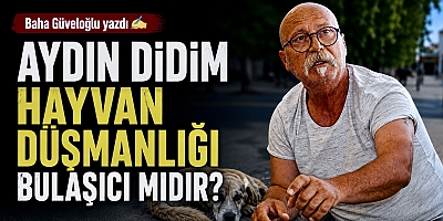 AYDIN DİDİM HAYVAN DÜŞMANLIĞI BULAŞICI MIDIR?