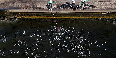 Bakanlıktan Suç Duyurusu ve İZSU'ya Kirlilik Cezası!