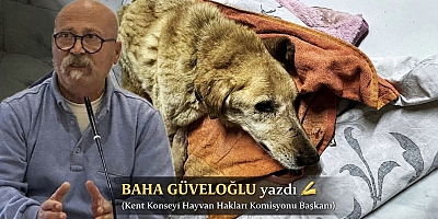 BAL OĞLUMUZ… ÇOK ÜZGÜNÜZ, SENİ BU CANİLERDEN KORUYAMADIK