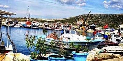 BALIKÇI BARINAĞI’NDAKİ TEL ÖRGÜ!