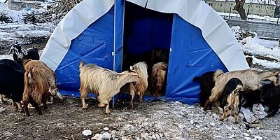 Başkan Çakıcı’dan uyarı: “1 kilo kıymayı 400 liraya alamayız!”