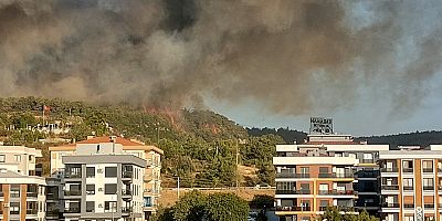 Buca’da orman yangını!  Araçta başladı, ormana sıçradı…