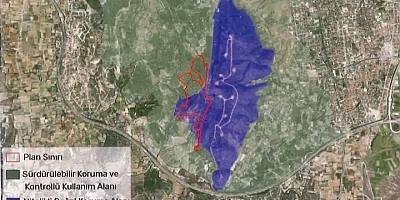 Çeşme’de 306 dönüm imara açıldı!