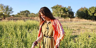 ÇEŞME’DE ATA TOHUMU SUSAMDA İLK HASAT YAPILDI