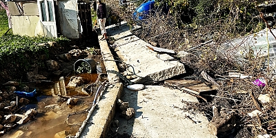 Çeşme’de Bahçe Bitkileri Üreticisinin  10 Yıllık Emeği Bir Gecede Yok Oldu!