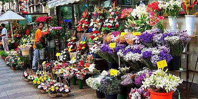 Çeşme’de Çiçek Siparişlerinde Dolandırıcılığa Dikkat!