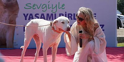 ÇEŞME’DE DÜNYA HAYVANLARI KORUMA GÜNÜ KUTLANDI