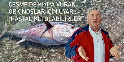 Çeşme’de Kıyıya Vuran Orkinoslar Endişe Yarattı: “Hastalıklı Olabilirler”
