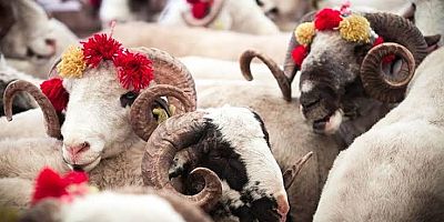 Çeşme’de kurban satış ve kesim yerleri belli oldu!