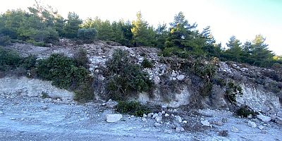 Çeşme'de Ormanlık Alanda Yapılan Tahribat Durduruldu!