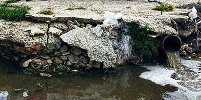 Çeşme’de Şifne Deresi Can Çekişiyor, Gören Yok