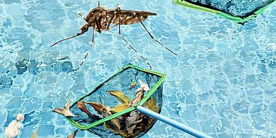 Çeşme’de Sivrisinek ile yoğun mücadele 