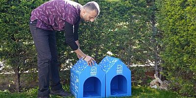 Çeşme'de soğuk havalarda can dostlar unutulmadı!