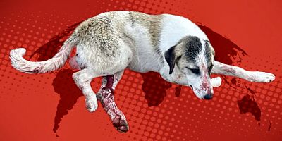 Çeşme’de Vahşet: 19 Saçmayla Öldürüldü!