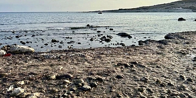 Çeşme’deki Atıksu Arıtma Haberine İZSU’dan Yanıt Gelmişti Ama!