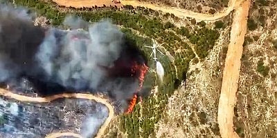 Çeşme Deliklikoy'da Orman Yangını: 3 Kişi Hayatını Kaybetti