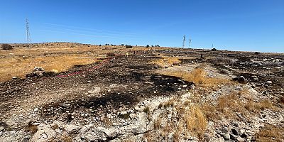 Çeşme Germiyan’da Elektrik Hattından Çıkan Yangın Kısa Sürede Söndürüldü