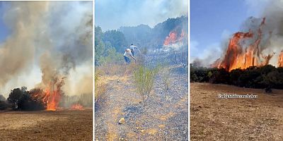 Çeşme Germiyan Mahallesi'nde Yangın!