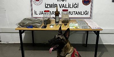 Çeşme Jandarma'dan uyuşturucu operasyonu!