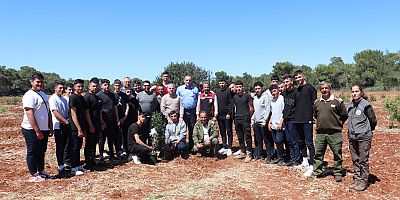 Çeşme’nin Damla Sakızı Kıbrıs Topraklarında