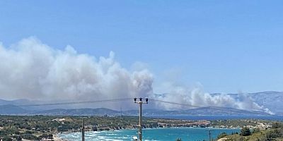 Çeşme’nin Komşusu Sakız Adası’nda Orman Yangını!