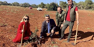 Çeşme Sakızı Kıbrıs’ta da yetişecek!