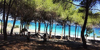 Çeşme Tanay Tabiat Parkı’ndaki Proje İptal Edildi