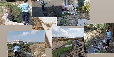 Çeşme TOKİ Dip Bucak İlaçlandı ve Temizlendi