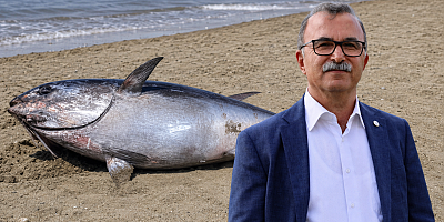 Çeşme ve Karaburun’daki Orkinos Ölümleri TBMM’ye Taşındı