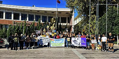 Çeşmeli Hayvanseverler 4 Ekim Dünya Hayvanları Koruma Günü’nde: “Yastayız, İsyandayız!”