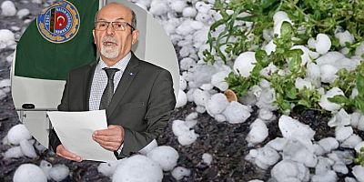 Çeşmeli üreticiyi dolu vurdu!