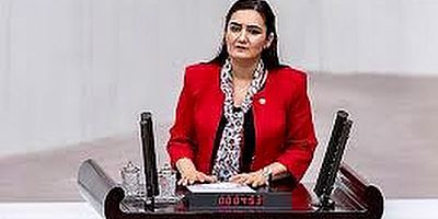 CHP'li Kılıç, 4 aydır kayıp olan Veli Eren Atay’ı İçişleri Bakanlığı’na sordu!