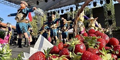 Çilek kokulu festival geliyor!