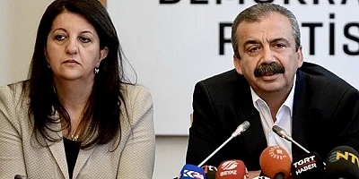 DEM Parti'den Öcalan görüşmesi sonrası ilk açıklama!