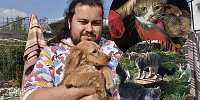 Depremzede can dostlar İzmir'de yeni yuva bekliyor!