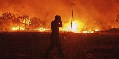 Diyarbakır ve Mardin Arasında Anız Yangını: 5 Can Kaybı, 10'u Ağır 44 Yaralı