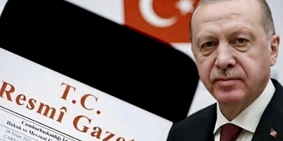 Erdoğan imzaladı, vali yardımcısı ve kaymakam atamaları yapıldı
